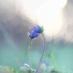 Сергей Мошков-Любовь - тебе