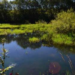 Сергей Мошков-Любовое сластье