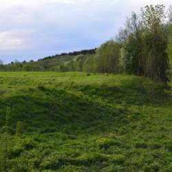 Сергей Мошков-Бог - это свобода