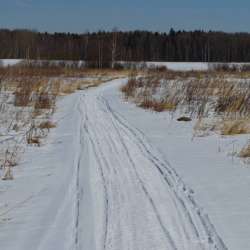 Сергей Мошков-На здоровьице