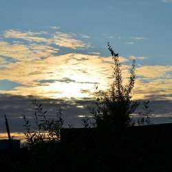 Сергей Мошков-О прошедших днях золотого лета