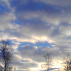 Сергей Мошков-О сестрице ночи И ещё