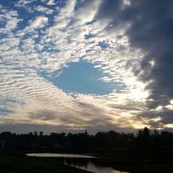 Сергей Мошков-Отпусти скакуна