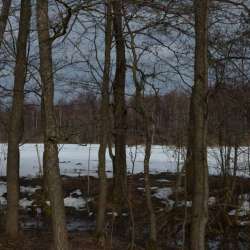 Сергей Мошков-Ой дубята Да ой воз ля дороги