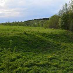 Сергей Мошков-Помошнички Коляды