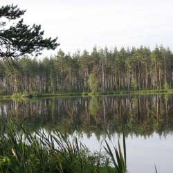 Сергей Мошков-Приулыбило Солнце