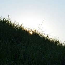 Сергей Мошков-Прогулка с Познобша-Ветром