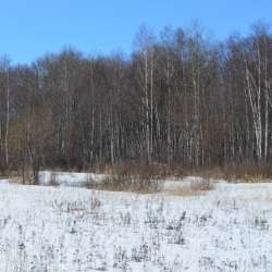 Сергей Мошков-Простолюбовь