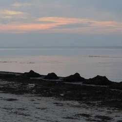 Сергей Мошков-Раковина моря