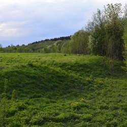 Сергей Мошков-Русь моя