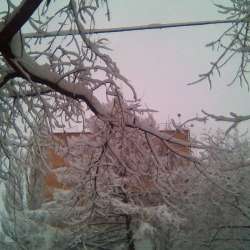 Сергей Мошков- Снежева