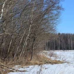 Сергей Мошков-Страна Услад
