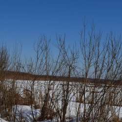 Сергей Мошков-Студёный ветр