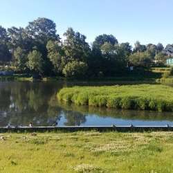 Сергей Мошков-Сижу в электричке смотрю на зарю