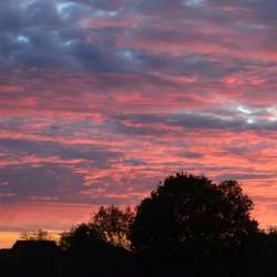 Сергей Мошков-Темна ноченька не спится Стихи С Есенина