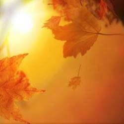 Сергей Мошков-Ты посмотри любимый радугой листопады