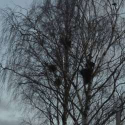 Сергей Мошков-Улыбчивый Друг-Оптимизм