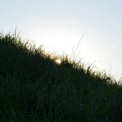 Сергей Мошков-Ветер да ковыль да неба ширь