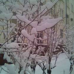 Сергей Мошков-Здравствуй Вьюга Здравствуй Снег