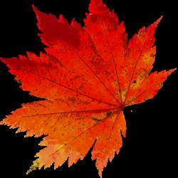 Сообщество Эгон Байков и друзья (СЭБИД)  - В День Рождения!