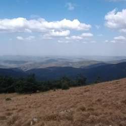 Сообщество Эгон Байков и друзья (СЭБИД) - Новогодние метаморфозы