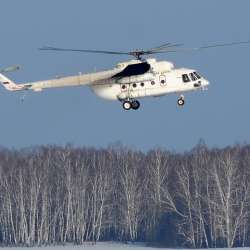 Сообщество Эгон Байков и друзья (СЭБИД) - Пихты, ёлки