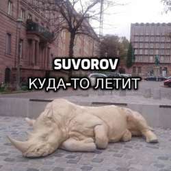 Suvorov-Куда-то летит