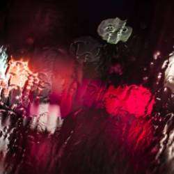 Suvorov-В них наверно