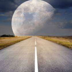 Suvorov-Вселенная любит каждого