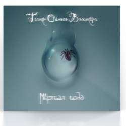 Театр одного вахтёра-Между шагами