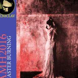 VJ CNiclav-Master Burning Original AMH2106 VJ CNiclav