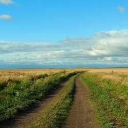 VVS-В моём окне