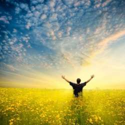 VVS-Вкус свободы