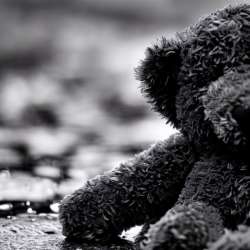 Виктор Бронский - Медведи осени