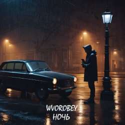 WVOROBEY - НОЧЬ