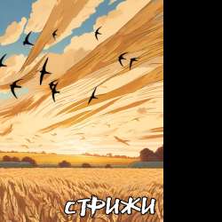 Fair Flap - Стрижи