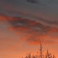 Сергей Мошков-Туманы