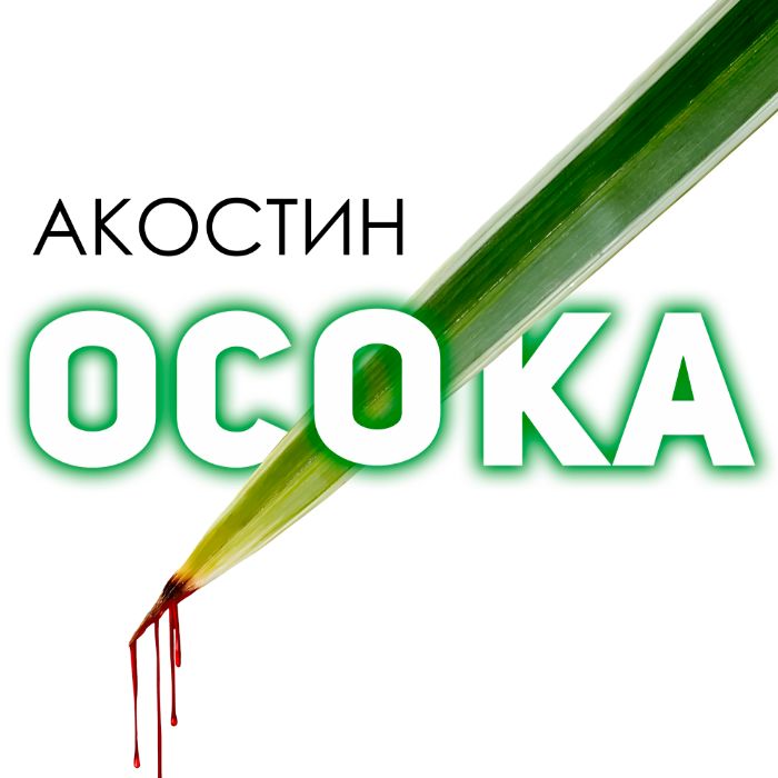 АКОСТИН - Осока