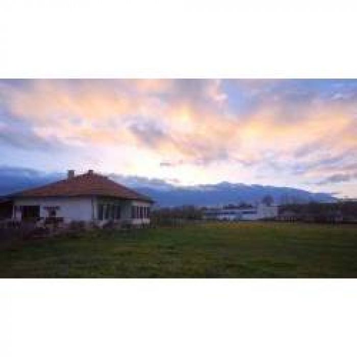 АЛЕКСЕЙ АЕДОНИЦКИЙ - ГИТАРА В НОЧИ