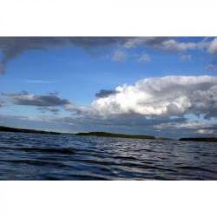 АЛЕКСЕЙ АЕДОНИЦКИЙ - ТРАВУШКИ-МУРАВУШКИ