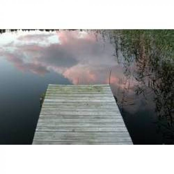 АЛЕКСЕЙ АЕДОНИЦКИЙ - ВАМ!