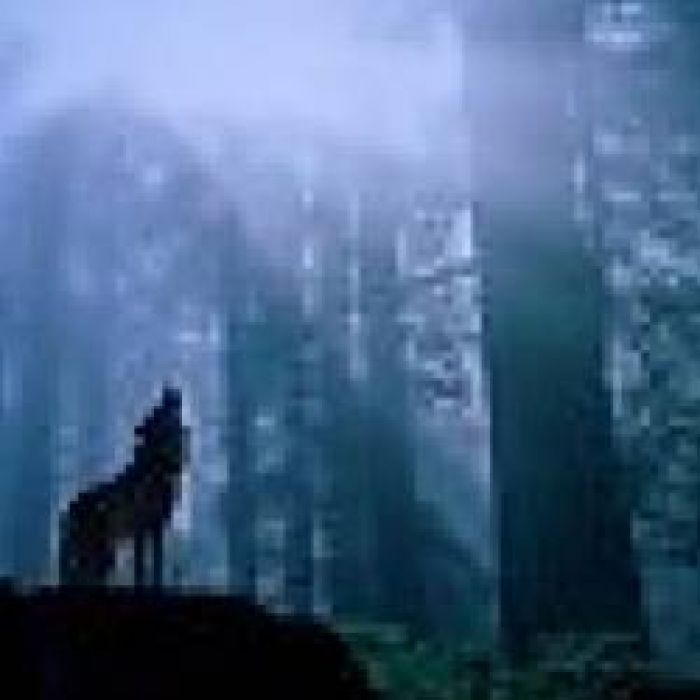 Александр Альтергот-Маленькая ложь