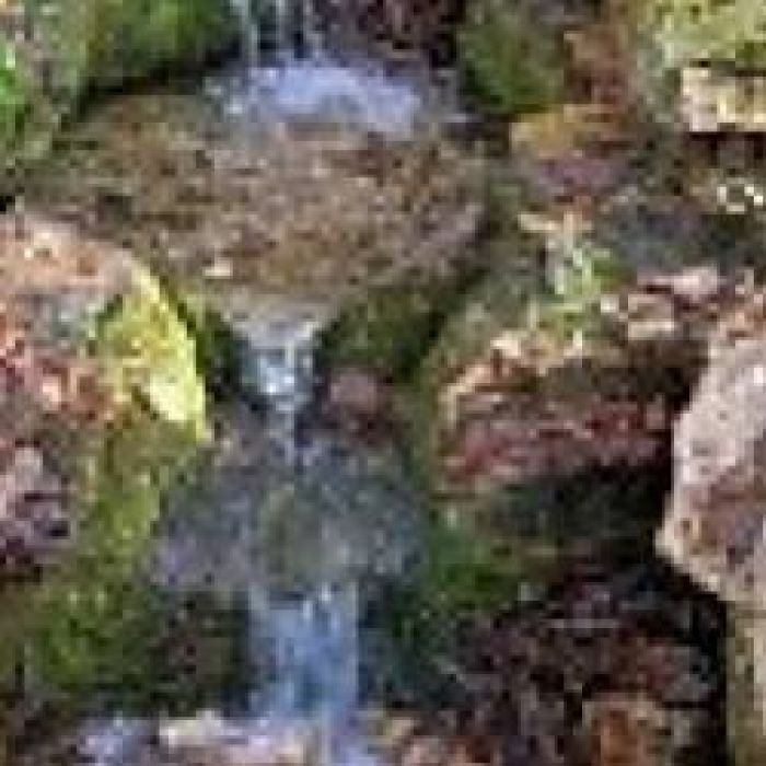 Александр Альтергот-Дождь