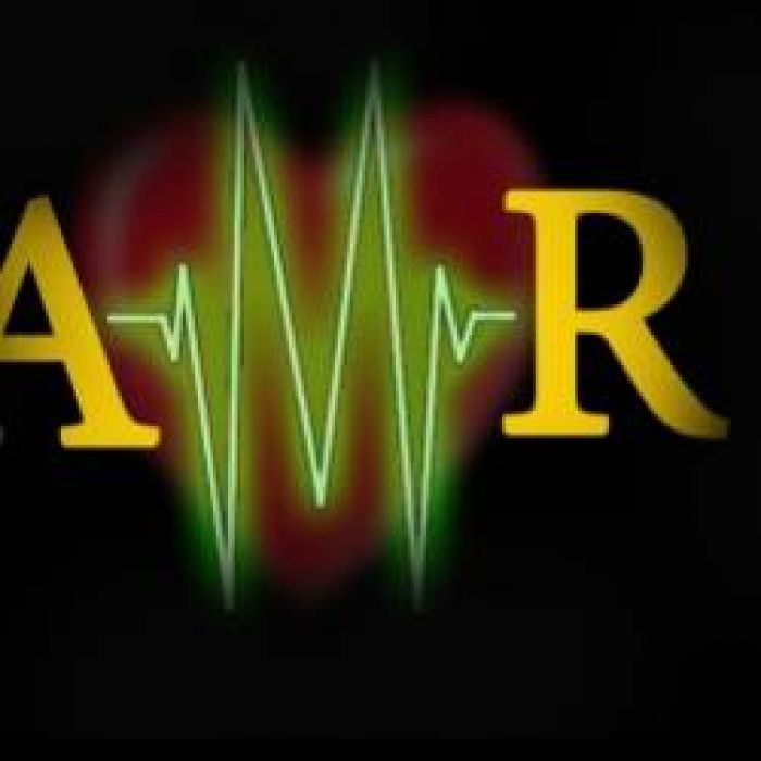 AmR pulse-МОЯ ВЕСНА