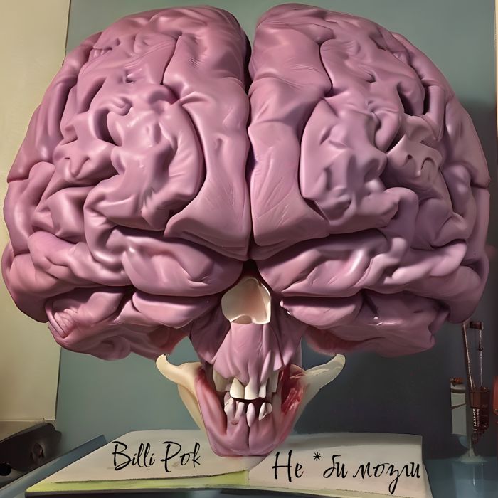 Billi Pok - Не *би мозги