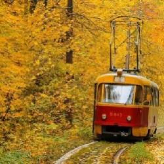 Большой Ногами-Соседи