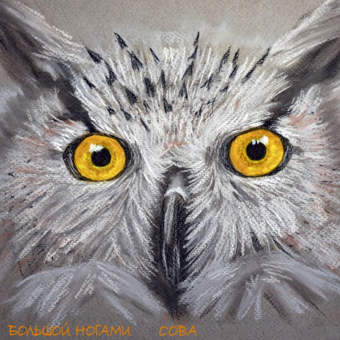 Большой Ногами - Сова