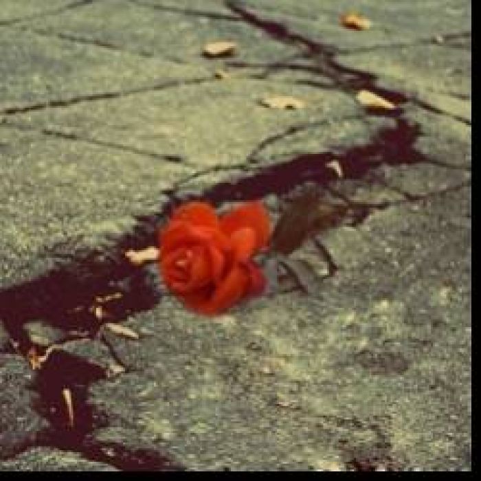 Chasm of time-forgive