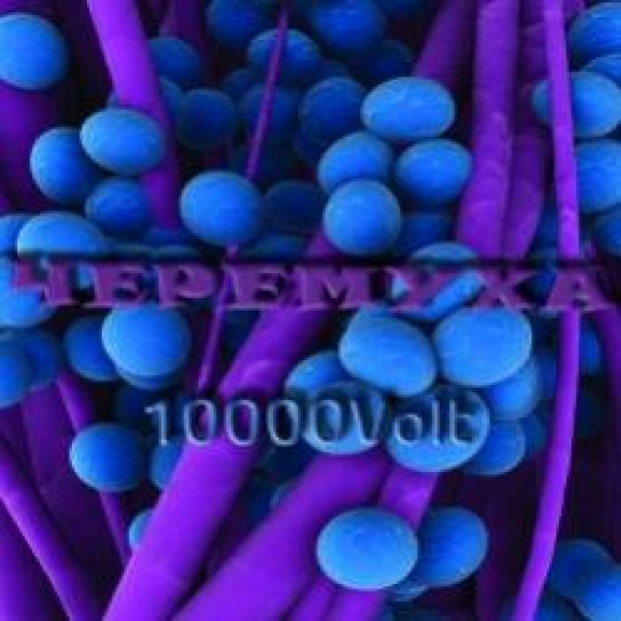 Черемуха-Лаки Страйк