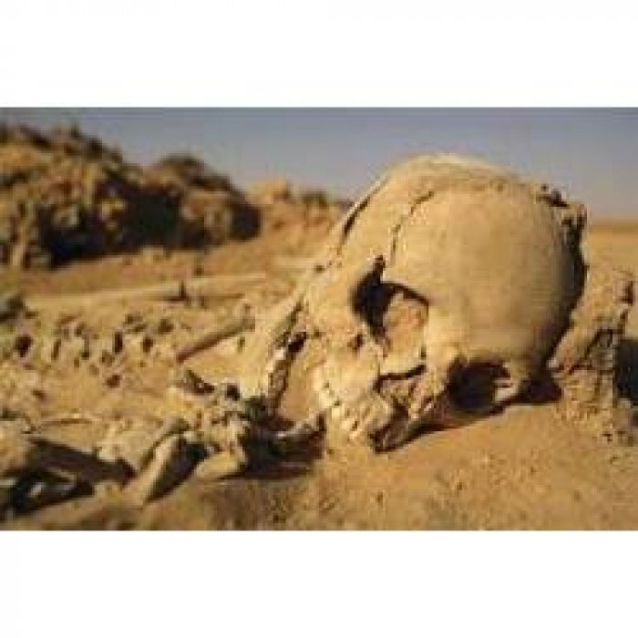 Cyberpunk - один глоток